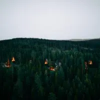 PAN Treetop Cabins, hotel en Åsnes