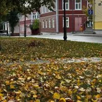 Katariina allee korter, hotell i Võru