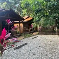 Viesnīca Finca Avellanas pilsētā Plaja Aveljana