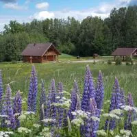 Guest House Kalniņi, hotelli kohteessa Kārļi