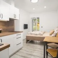 RONI Apartments Krkonoše, готель у місті Черні Дул