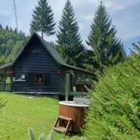 Schwarz Kabin, hotell sihtkohas Neagra