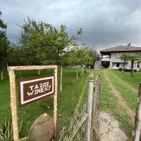 Tazos Winery Guest House, hotell i Abasha