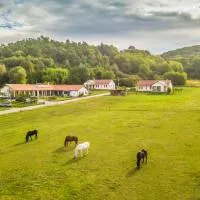 Bánvölgye Vendégház és Apartmanok – hotel w mieście Bánhorváti