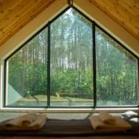 Lasownia Dom Dzięcioł, hotel u gradu 'Wielęcin'