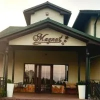 Hotel MAGNAT، فندق في جواجوف ماوبولسكي