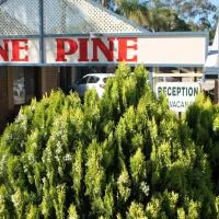 Lone Pine Motel, Hotel in Corowa