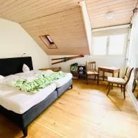 Gasthof Kreuz Egerkingen, khách sạn ở Egerkingen