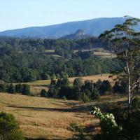 Grey Gum Lodge, hotel in Nimbin