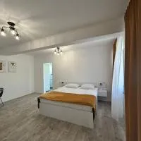 Axon Apartments, hotel Nagyváradon