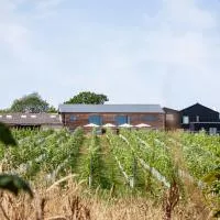 Tillingham Winery, hotel in Rye