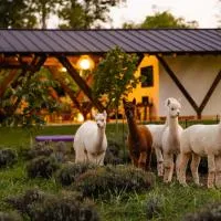 The Tribe Alpaca Retreat, hotel v destinaci Brăneşti