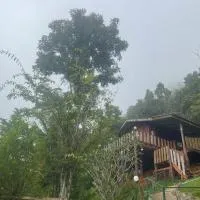 Forest Guesthouse, hotel v destinácii Samoeng