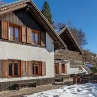 Panoramic House Carnia ,3 badroom chalet Ligosullo - Treppo Carnico - Paluzza - Zoncolan, hotel en Ligosullo