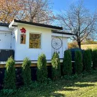 Cozy Dreamcatcher - Private, Jacuzzi and Nature Apuseni Mountains, hotel en Tomnatic