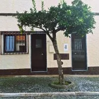 Cantinho da Casa, hotel i Avis