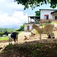 Amazi Land Home and Farm Stay, ξενοδοχείο σε Kibuye