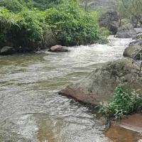 Suryas Home Stay, hotel a Devikolam