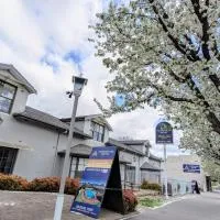 Townhouse Motel Cowra, отель в городе Каура