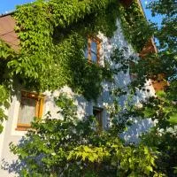 Ferienwohnung in der Thermenregion、Ilzのホテル
