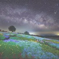 くじゅう花公園 グランピングパーク花と星, hotel di Kuju