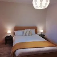 The Apartment, Hotel in Termonbarry