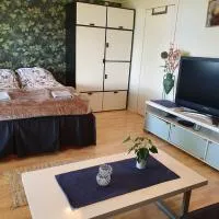 Viesnīca Stort privat rom pilsētā Hauknes