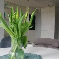 Apartament 35, hotel a Olsztynek