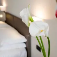 Hotel Plaza, отель в городе San Martino Siccomario