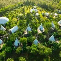 Panorama Glamping、Ðịnh Quánのホテル