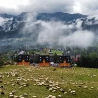 Salamandra SPA Jacuzzi, Sauny, Tężnia, panorama Tatr, khách sạn ở Kościelisko