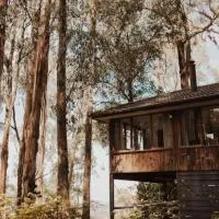 Forest Retreat, hotel em Upwey