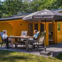 Molecaten Park Landgoed Ginkelduin、Leersumのホテル