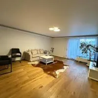 Gemütliche 2 Zimmer Wohnung، فندق في Trechtingshausen