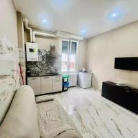 APT Umi 22, hotel in Linate