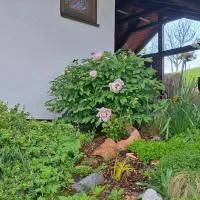 Hiška Janko in Metka, hotel em Ptuj