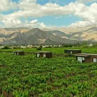 El Porvenir Wine Lodge – hotel w mieście Cafayate