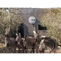 The Nest - Marloth Park, hotel sa Marloth Park