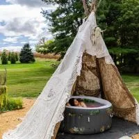 Historic Cottage Retreat-IG Cowboy Pool-Hot Tub, hotel a Boonsboro