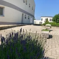 Nautilus Étterem és Panzió, отель в городе Dabas