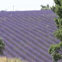 B&B La Grande Dame, hotel din Valensole