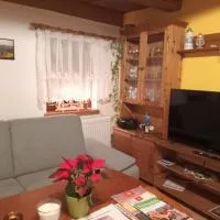 Ferienwohnung zum Sebnitzer Hirsch, מלון בסבניץ