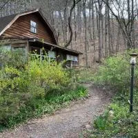 Woodhaven, darling romantic cabin, ATV trails, Mena, AR, hotel u gradu 'Mena'