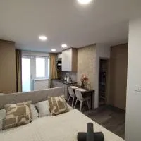 Štúdiový apartmán pri parku, hotel v mestu Solčany