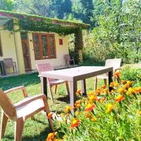 WoodRose Ecostay - Tirthan Valley, hotel di Gushaini
