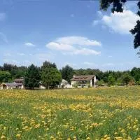 Waldhotel Geländer, hotel en Schernfeld