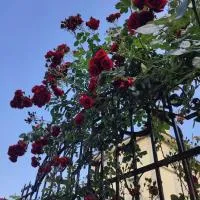 바랄로에 위치한 호텔 Ca' della Sfinge Colibrì a Civiasco