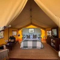 Tuki Glamping, khách sạn ở Havelock North