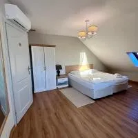 Hotel Nad Stawem, hotel v mestu Bogacica