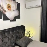 Apartman Sneznik, hotel en Vrnjačka Banja